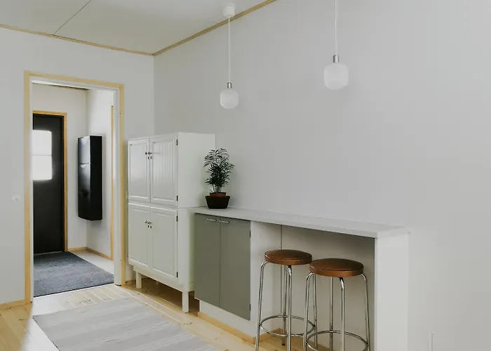 Upea Miljoeoe Saimaalla, Tilava Talo Ja Saunamoekki Йоэнсуу