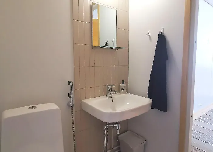 Upea Miljoeoe Saimaalla, Tilava Talo Ja Saunamoekki