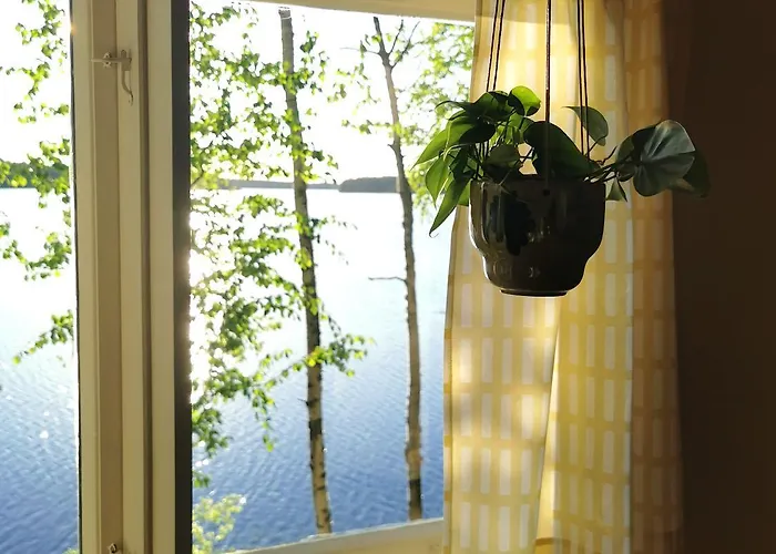 Upea Miljoeoe Saimaalla, Tilava Talo Ja Saunamoekki Йоэнсуу